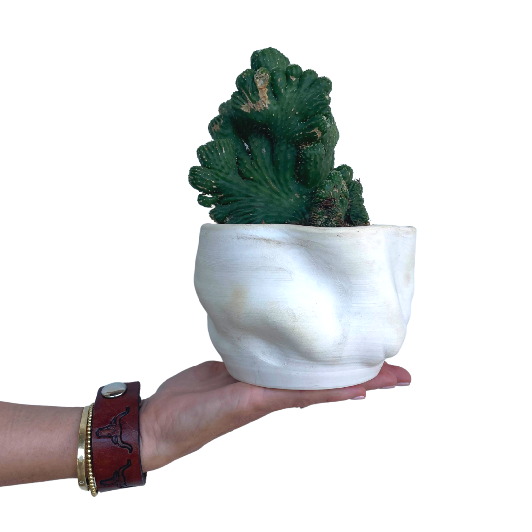 http://www.rogaladesign.com/cdn/shop/products/cactusinwobblepot.png?v=1630694474